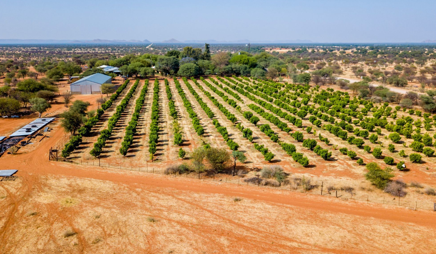 Windhoek Namibia Estate