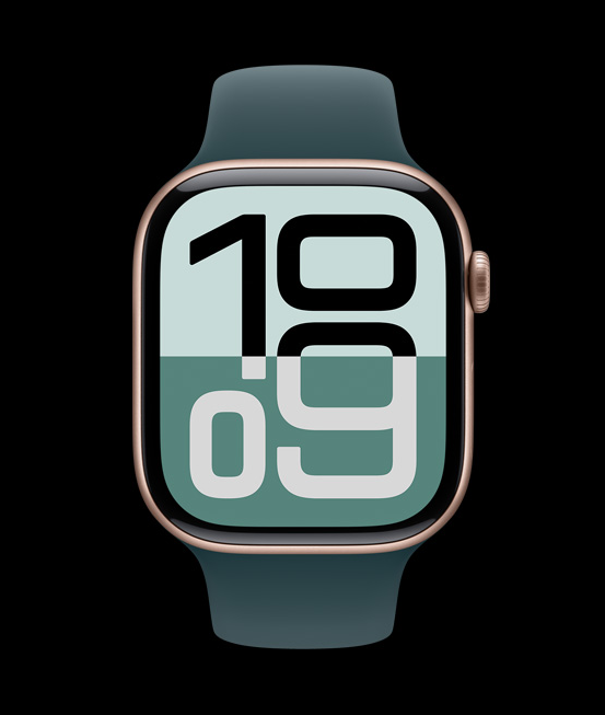 Apple Watch Series 10 case