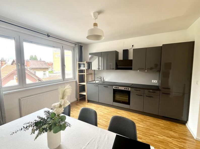 Graz Austria Apartment dining room, kitchen